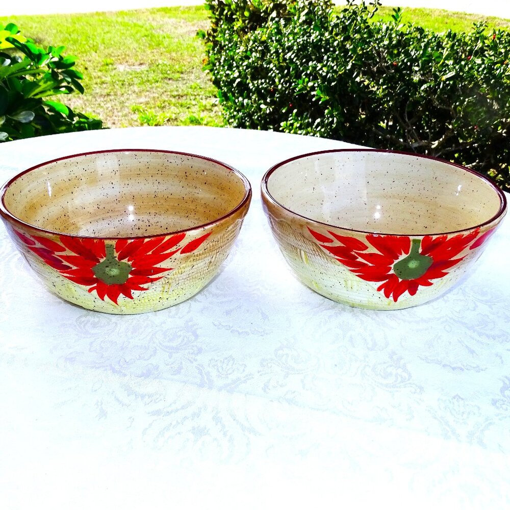 Two Large Pfaltzgraff Bowls Evening Sun Pattern